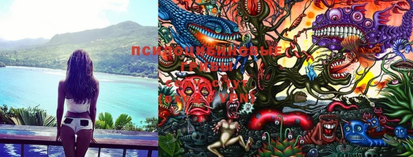 амфетамин Пролетарск