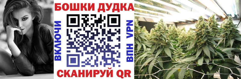 Каннабис сатива  Купить закладки  Тосно 